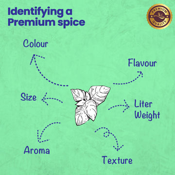 CRISTA Must-Haves Combo Pack - 1